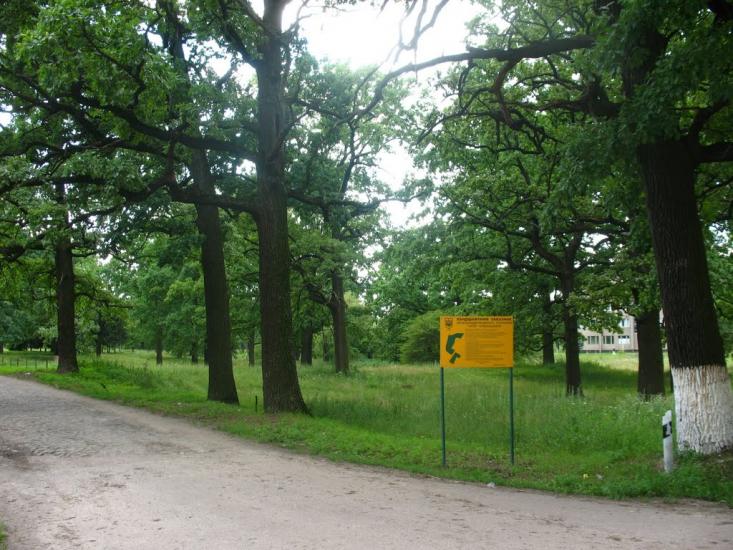 Чубинське з panoramio.com - Чубинське