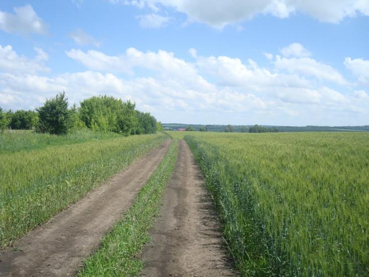 Малашівці з panoramio.com - Malashivtsi