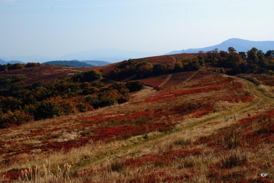 Потік з panoramio.com - Поток