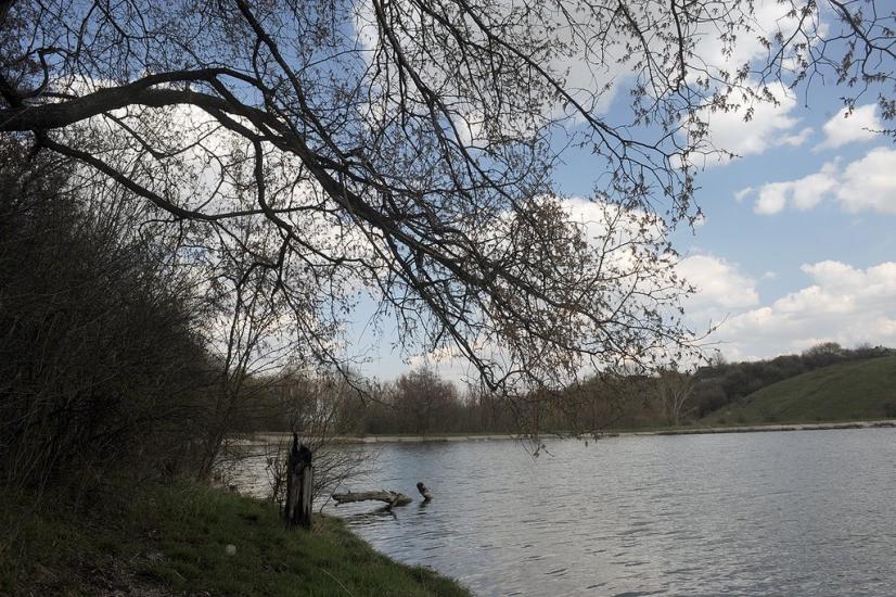 Новгородське з panoramio.com - Новгородське