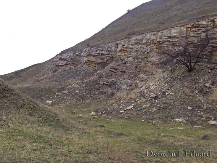 Степне з panoramio.com - Степное