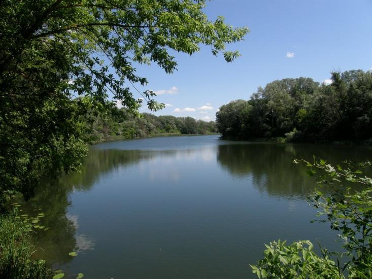 Пришиб з panoramio.com - Пришиб