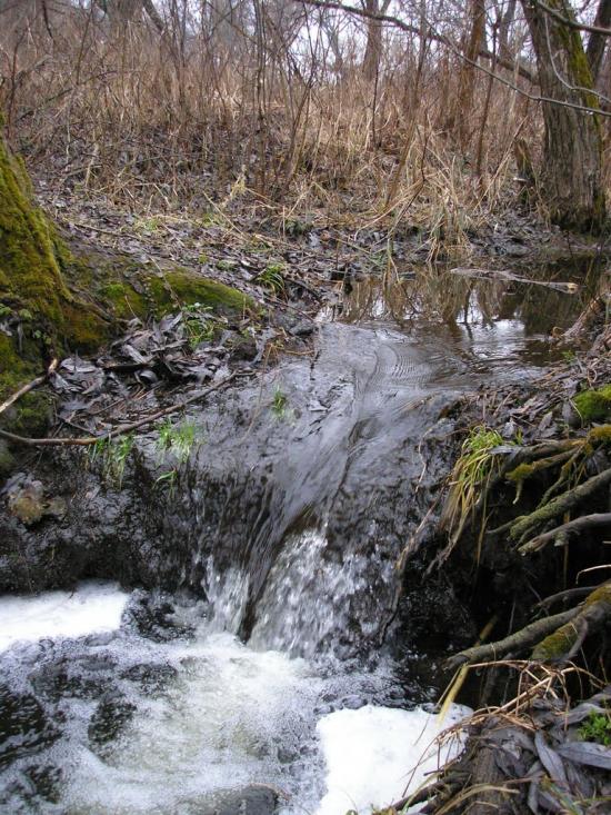Нова Прага з panoramio.com - Nova Praga