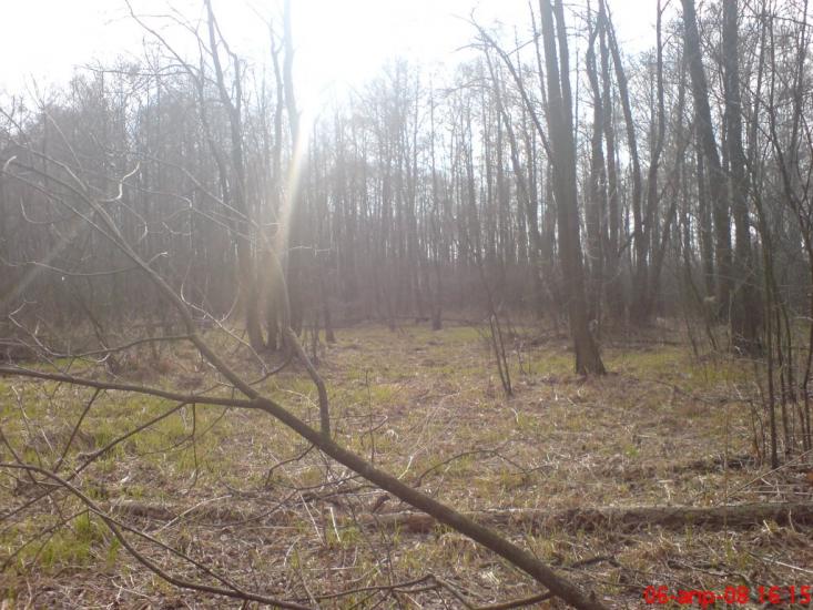 Ображіївка з panoramio.com - Ображіївка