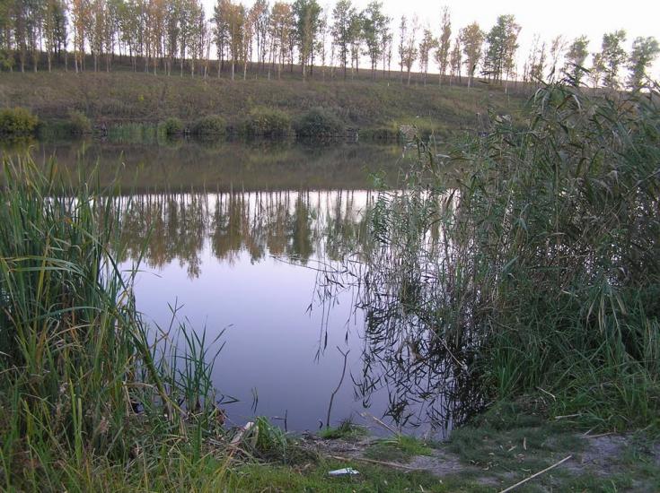 Питомник з panoramio.com - Питомник