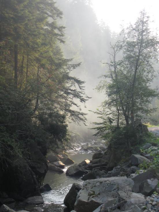 Кам'янка з panoramio.com - Каменка