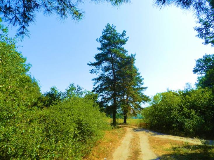 Брусівка з panoramio.com - Брусовка
