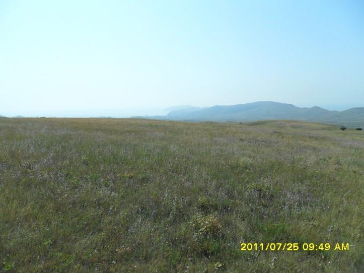 Підгірне з panoramio.com - Підгірне