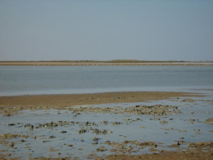 Соляне з panoramio.com - Соляное