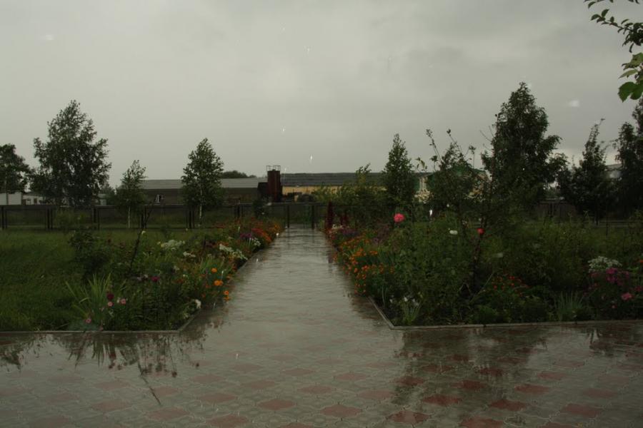 Комарівка з panoramio.com - Комарівка