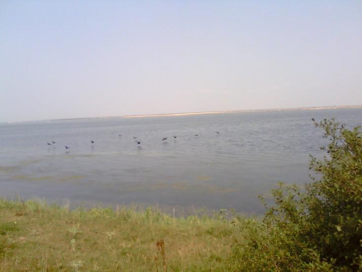 Чорноморка з panoramio.com - Черноморка