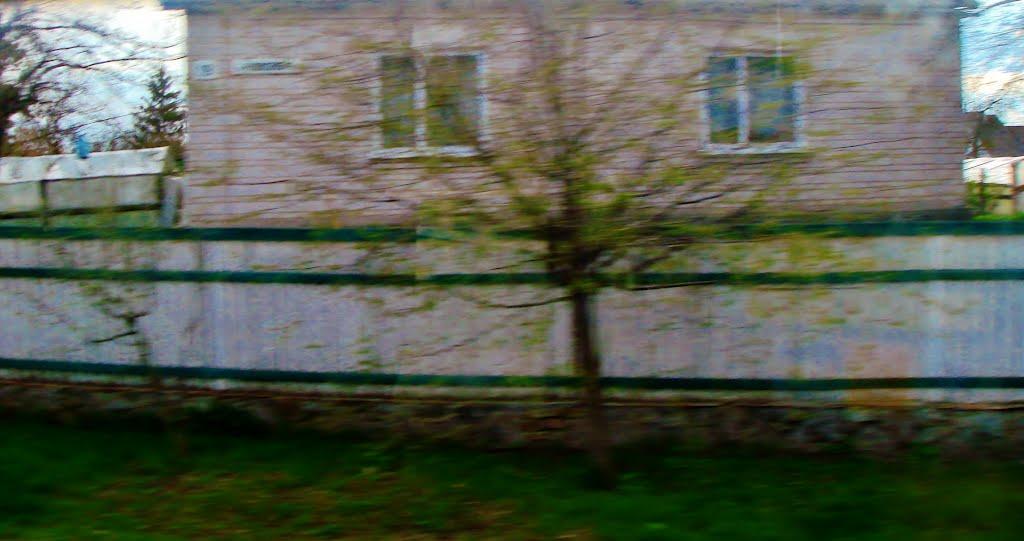 Тараща з panoramio.com - Тараща