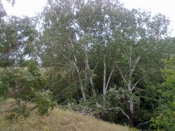 М'якеньківка з panoramio.com - М'якеньківка