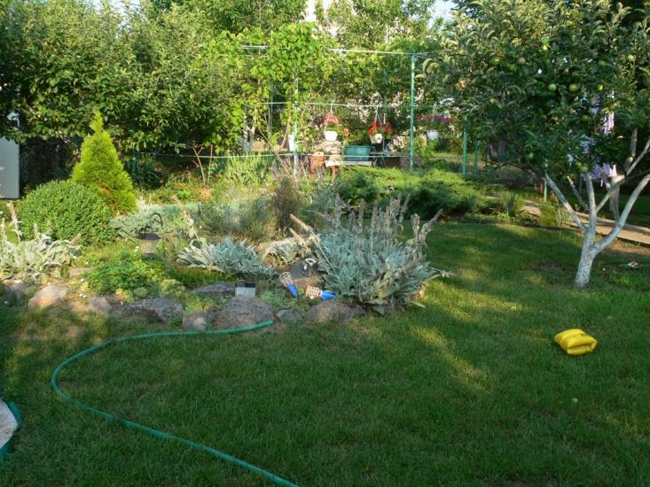 Берегове з panoramio.com - Береговое