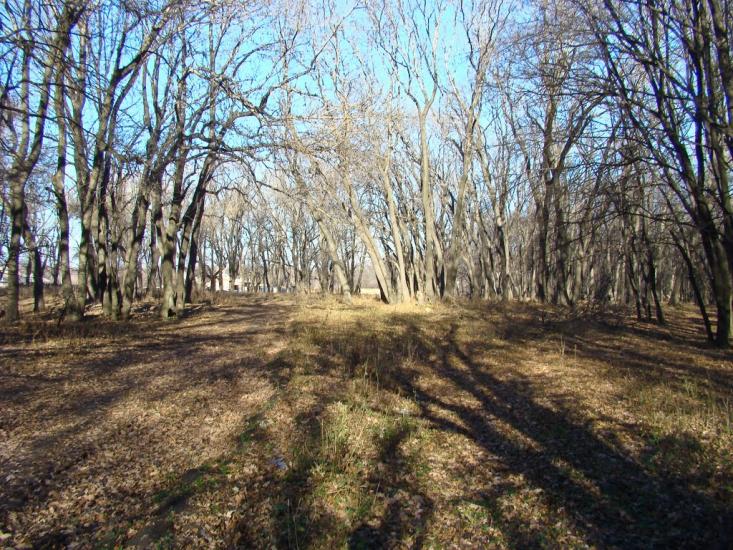 Сєверне з panoramio.com - Syeverne