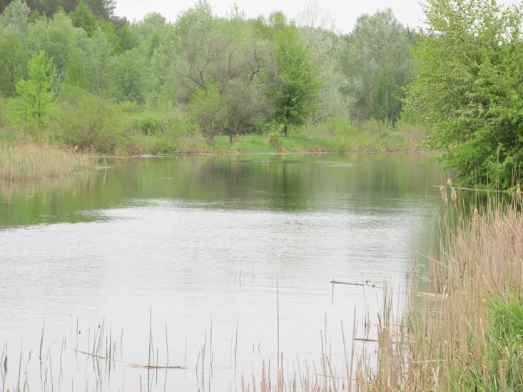 Дмитрівка з panoramio.com - Дмитровка