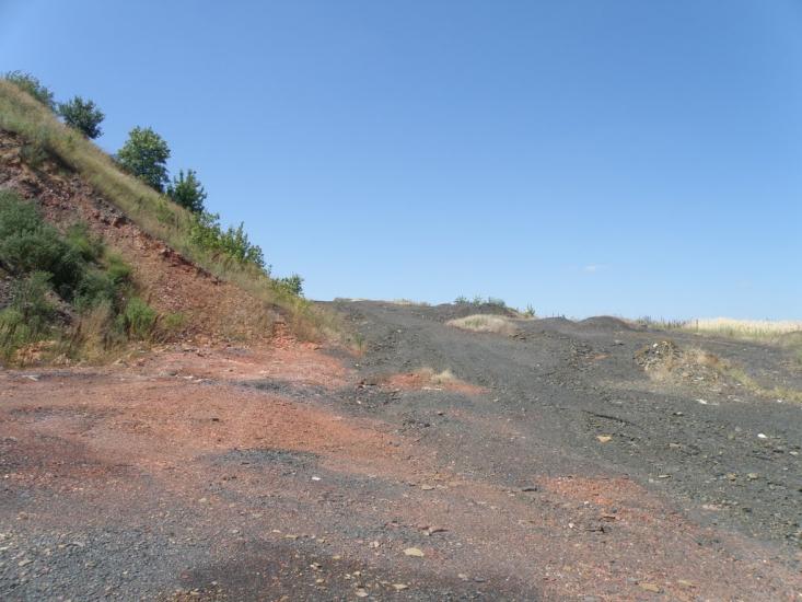 Княгинівка з panoramio.com - Княгиневка