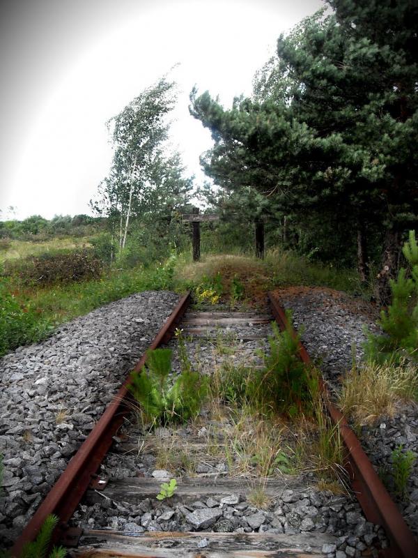 Комарівка з panoramio.com - Комарівка