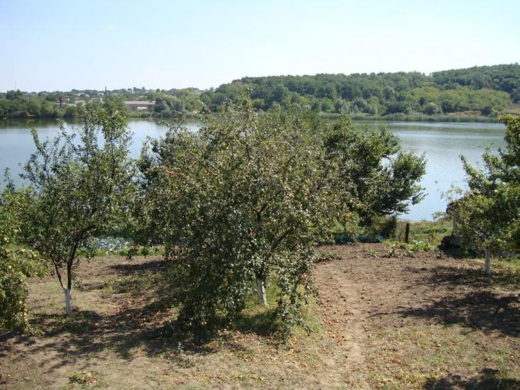 Тетіїв з panoramio.com - Тетиев