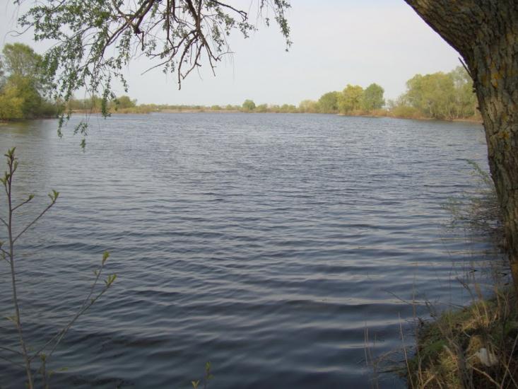 Хотянівка з panoramio.com - Хотяновка