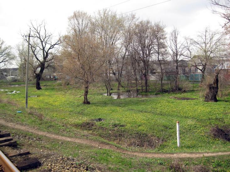 Валуйське з panoramio.com - Валуйское