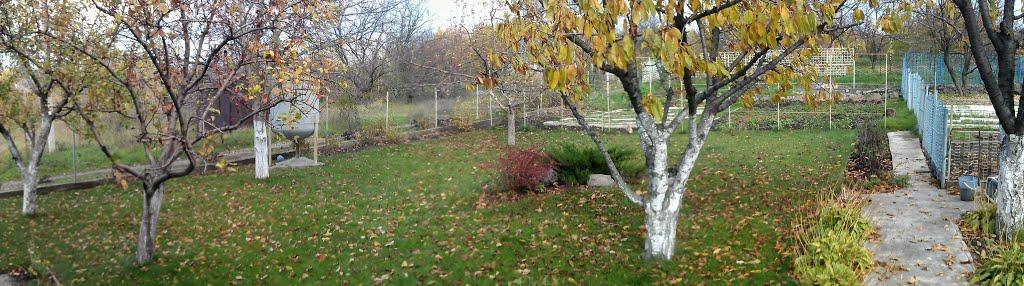 Грушувато-Криничне з panoramio.com - Грушувато-Криничне