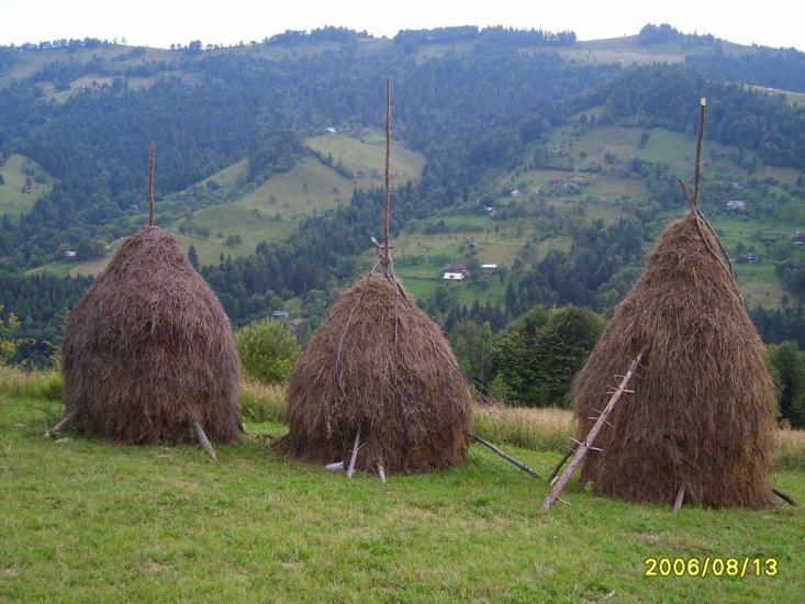 Бабин з panoramio.com - Бабин
