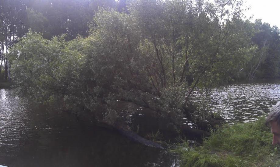 Сорокошичі з panoramio.com - Сорокошичи