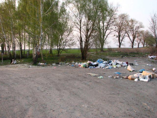 Липовий Скиток з panoramio.com - Липовий Скиток