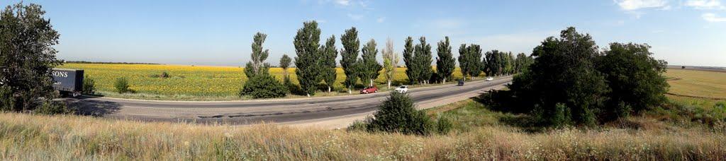 Степногірськ з panoramio.com - Степногорск