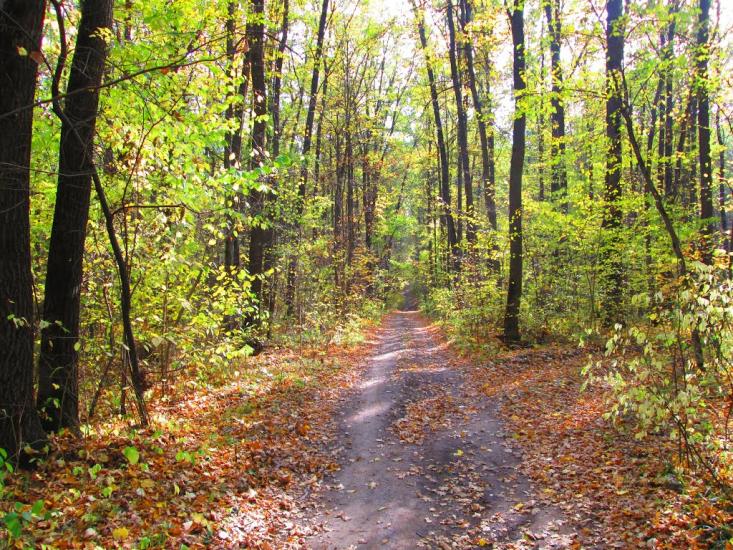 Зайченки з panoramio.com - Зайченки