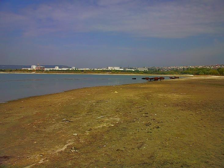 Дачне з panoramio.com - Дачное