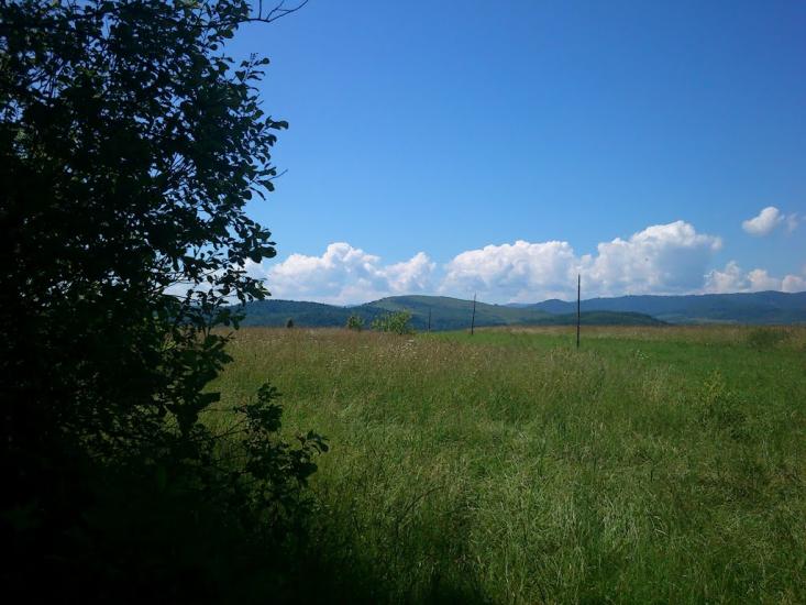 Бабче з panoramio.com - Бабче