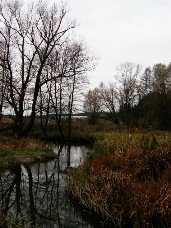 Ямпіль з panoramio.com - Ямпіль
