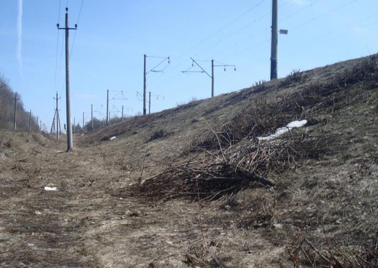 Коричинці з panoramio.com - Korychyntsi