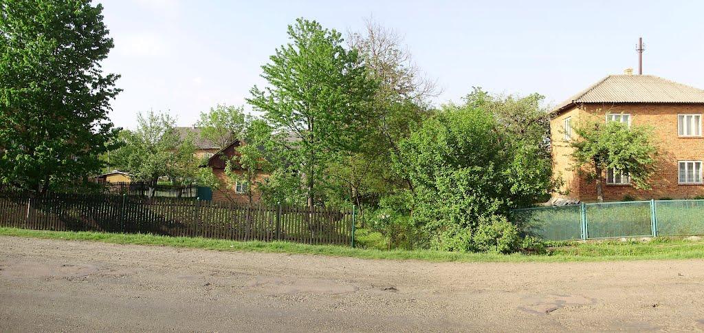 Пісочна з panoramio.com - Песочная