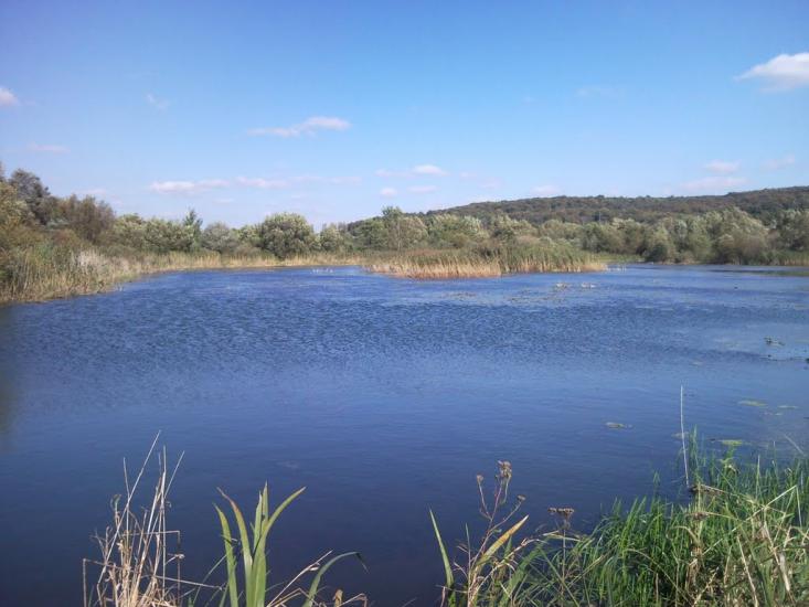 Великі Глібовичі з panoramio.com - Великие Глебовичи
