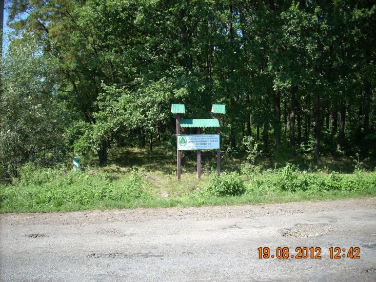 Копанки з panoramio.com - Копанки