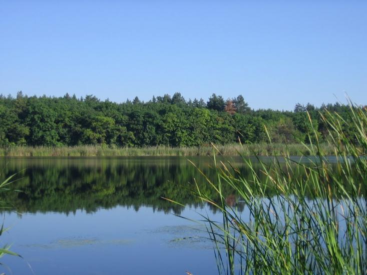 Царичанка з panoramio.com - Царичанка