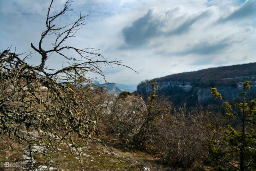 Тургенєвка з panoramio.com - Turgenyevka