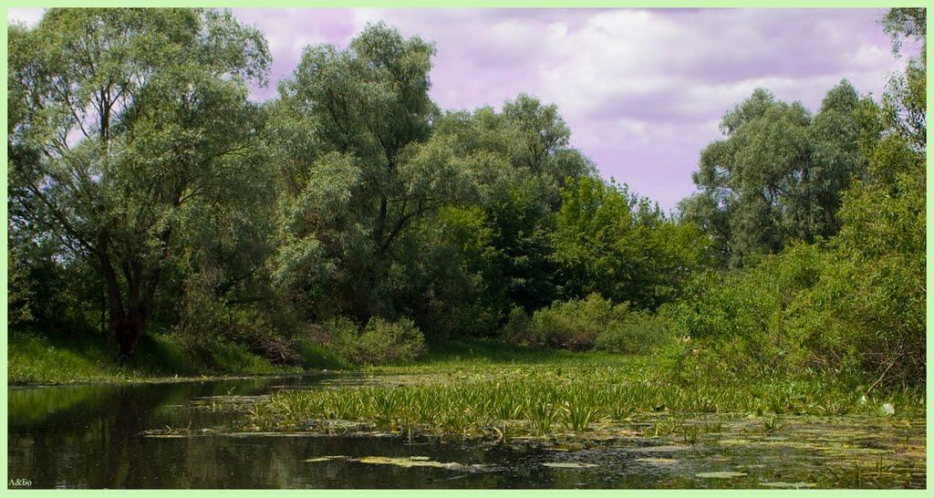 Соболівка з panoramio.com - Соболевка