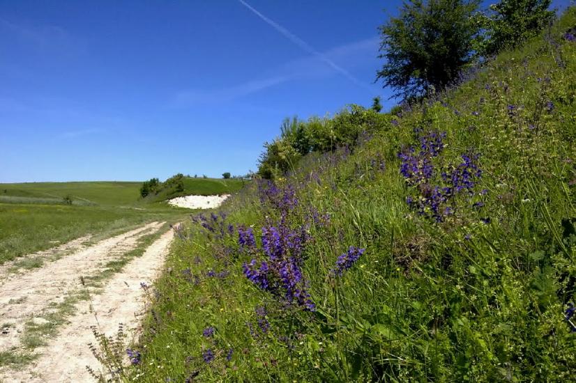 Староміщина з panoramio.com - Staromischyna