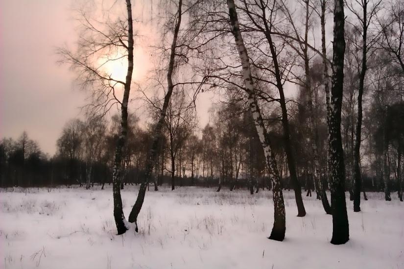 Суховоля з panoramio.com - Sukhovolya