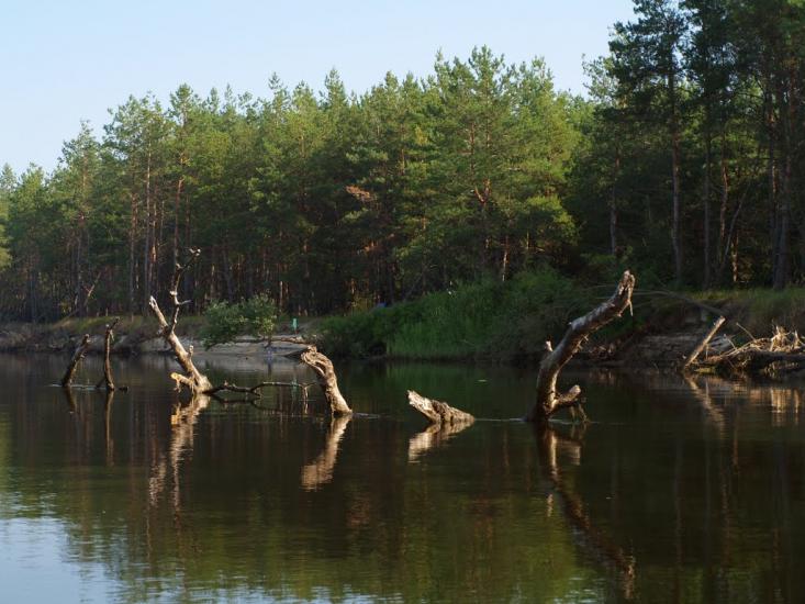 Бубнівська Слобідка з panoramio.com - Бубновская Слободка