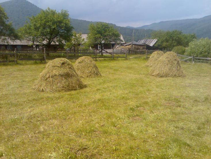 Гриньків з panoramio.com - Гриньків