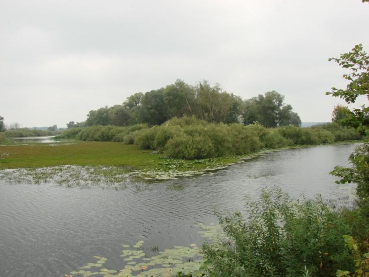 Зазим'я з panoramio.com - Зазимье