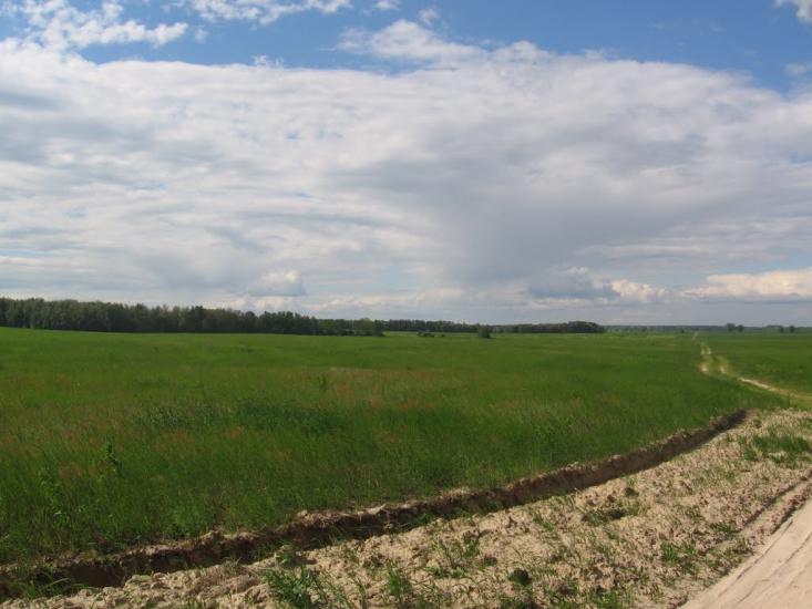 Товстоліс з panoramio.com - Толстолес