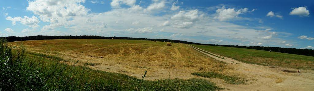 Прибузьке з panoramio.com - Прибугское