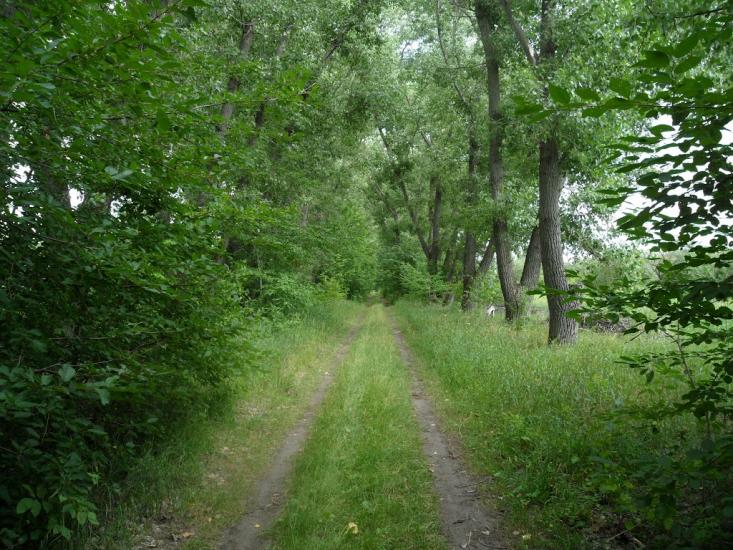 Новофастів з panoramio.com - Новофастів