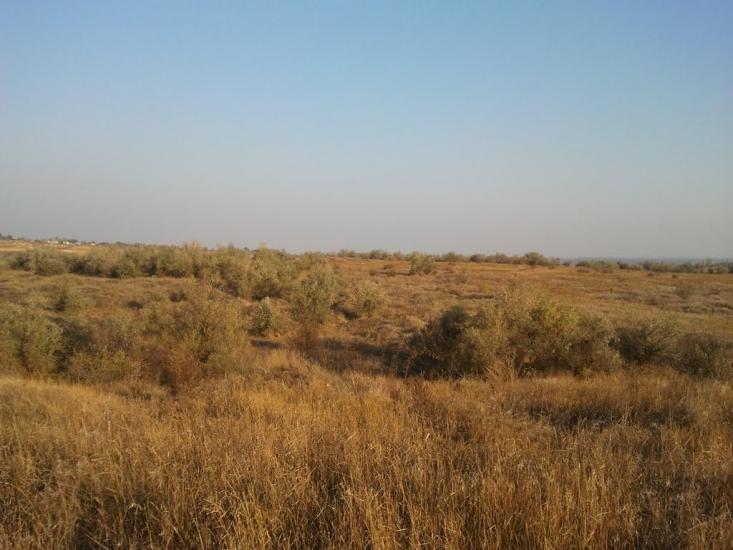 Ольшанське з panoramio.com - Ольшанське